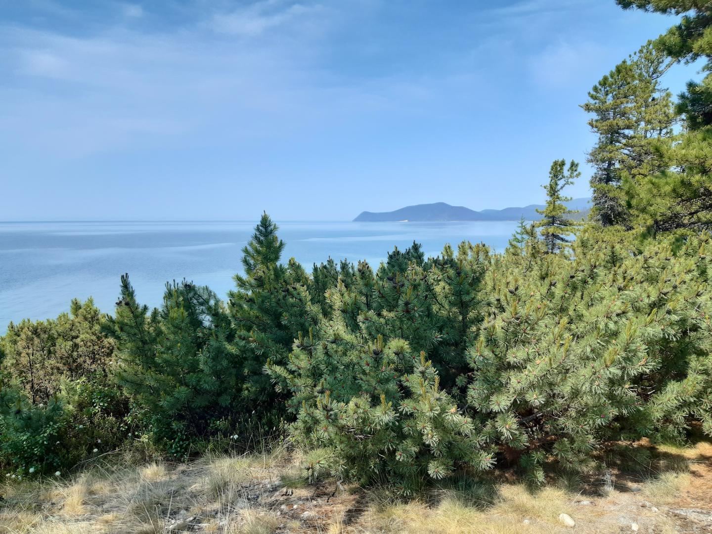 Байкал - фото 5