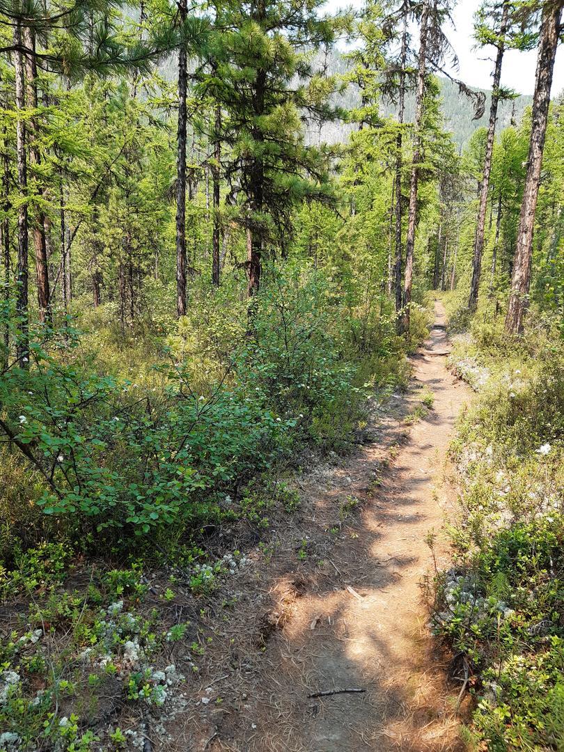 Байкал - фото 7