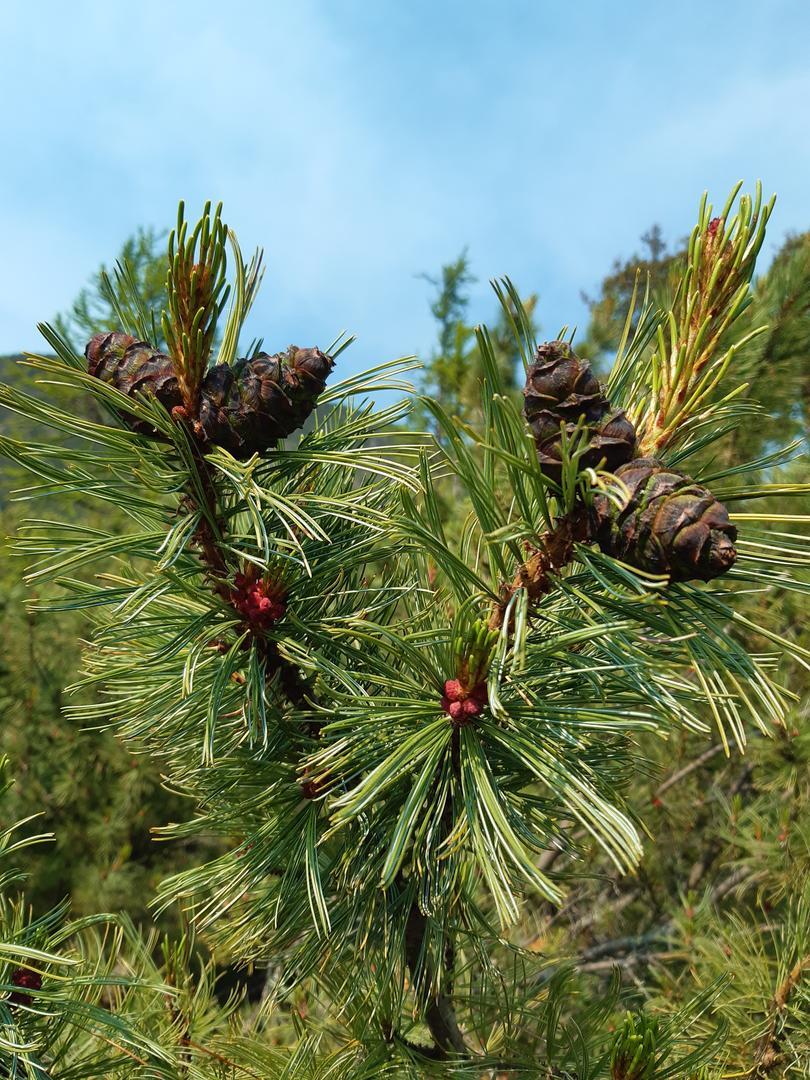 Байкал - фото 8