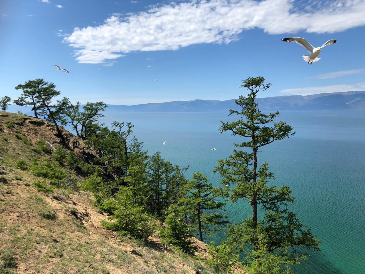 Байкал - фото 9