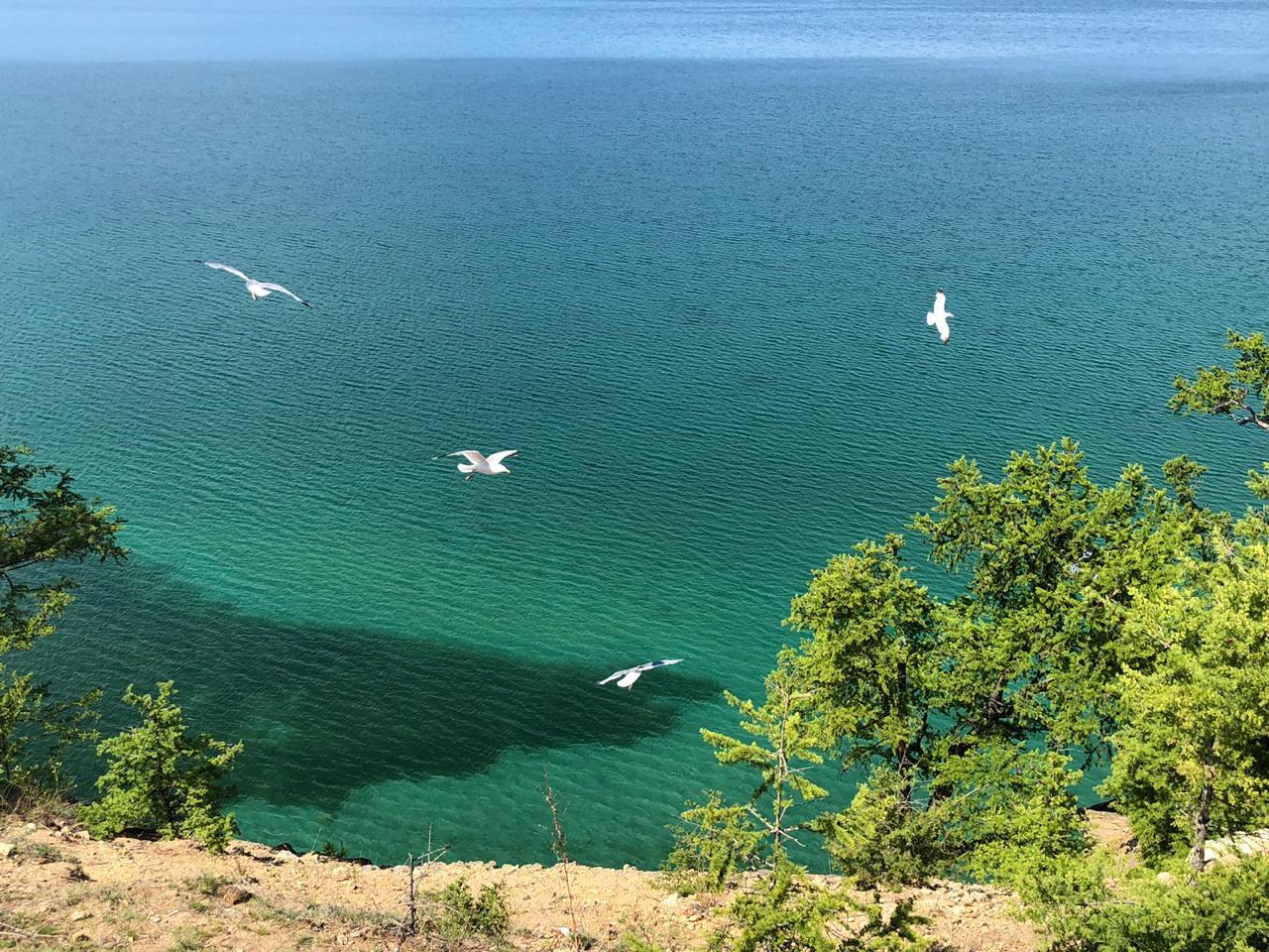 Байкал - фото 10