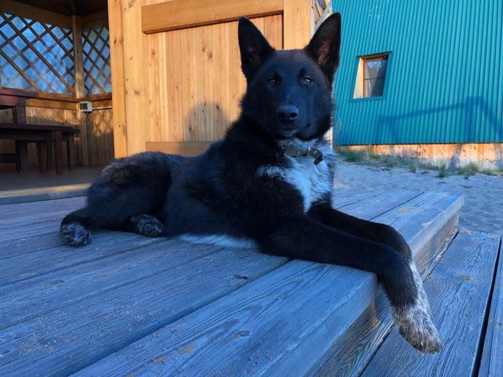 Байкал - фото 13