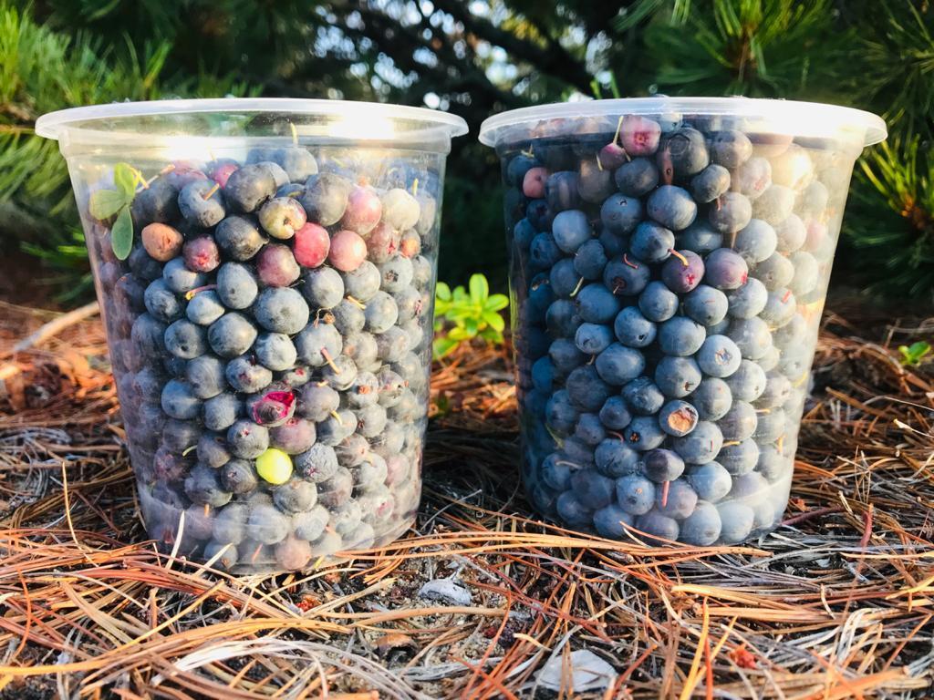 Байкал - фото 31