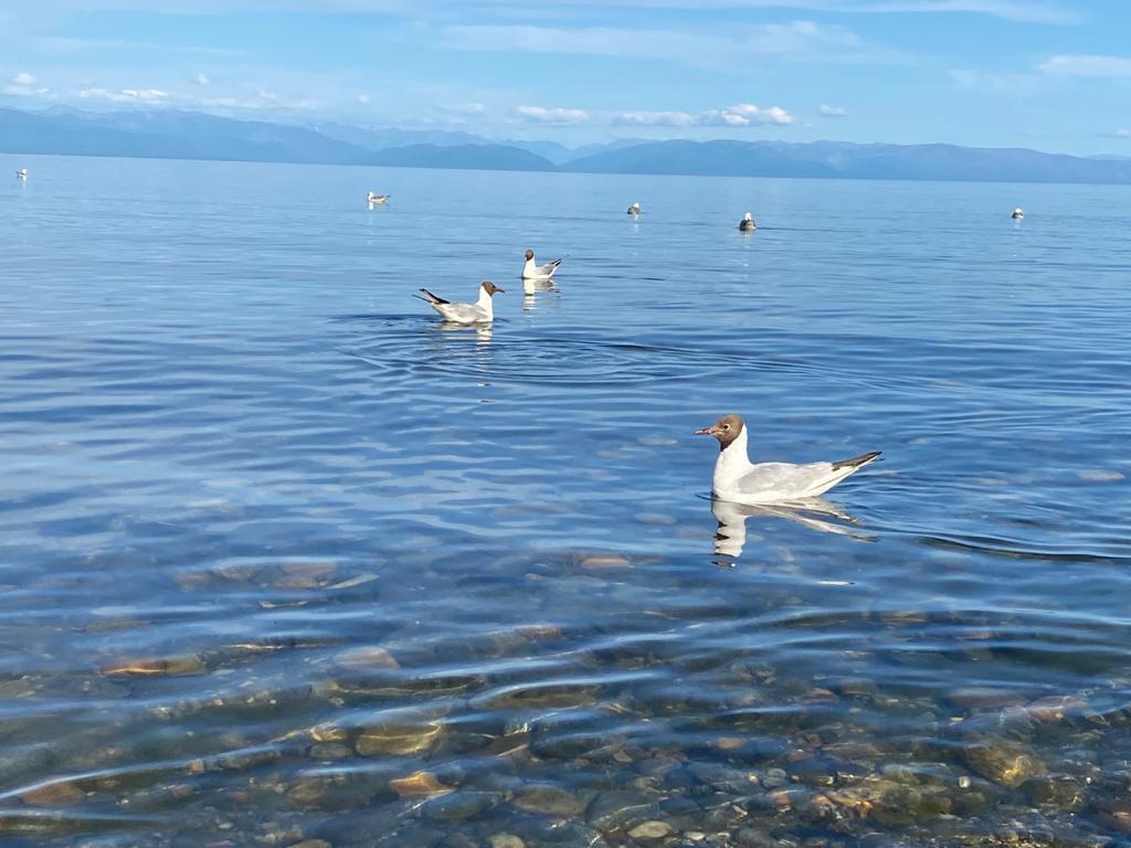 Байкал - фото 32