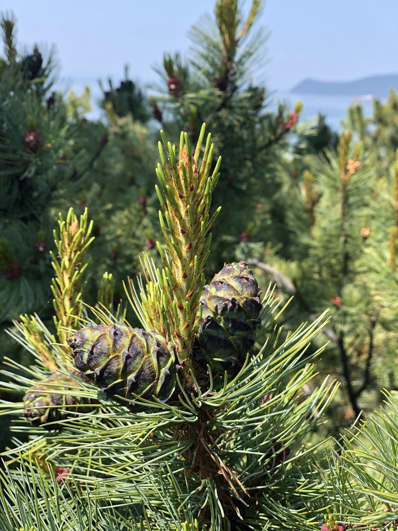 Байкал - фото 72