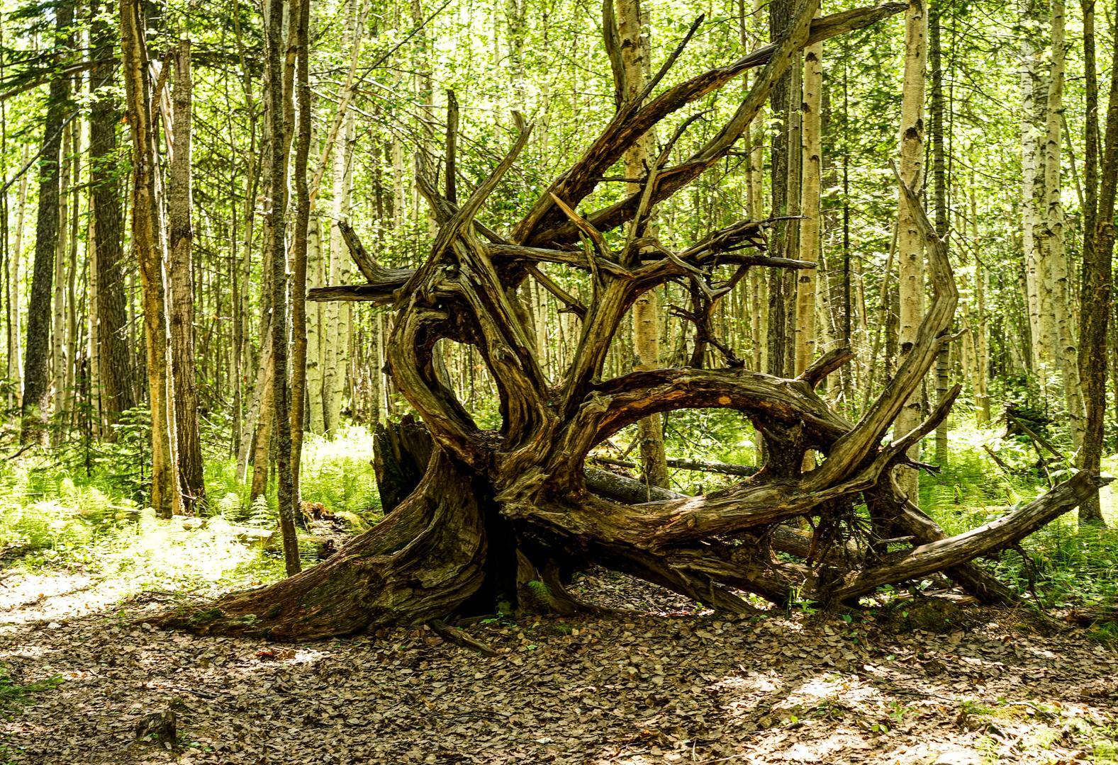 Байкал - фото 82