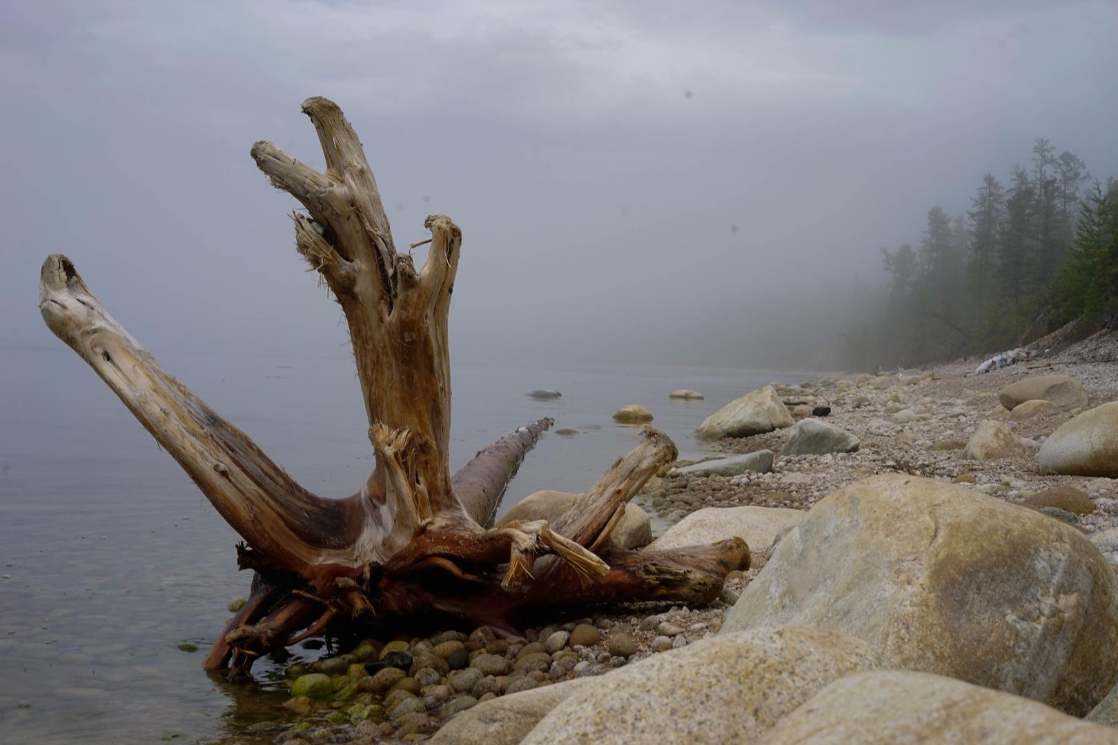 Байкал - фото 84
